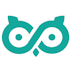 VR Owl logo