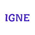 IGNE B.V. logo